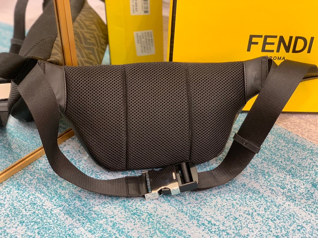 Fendi Bags 2