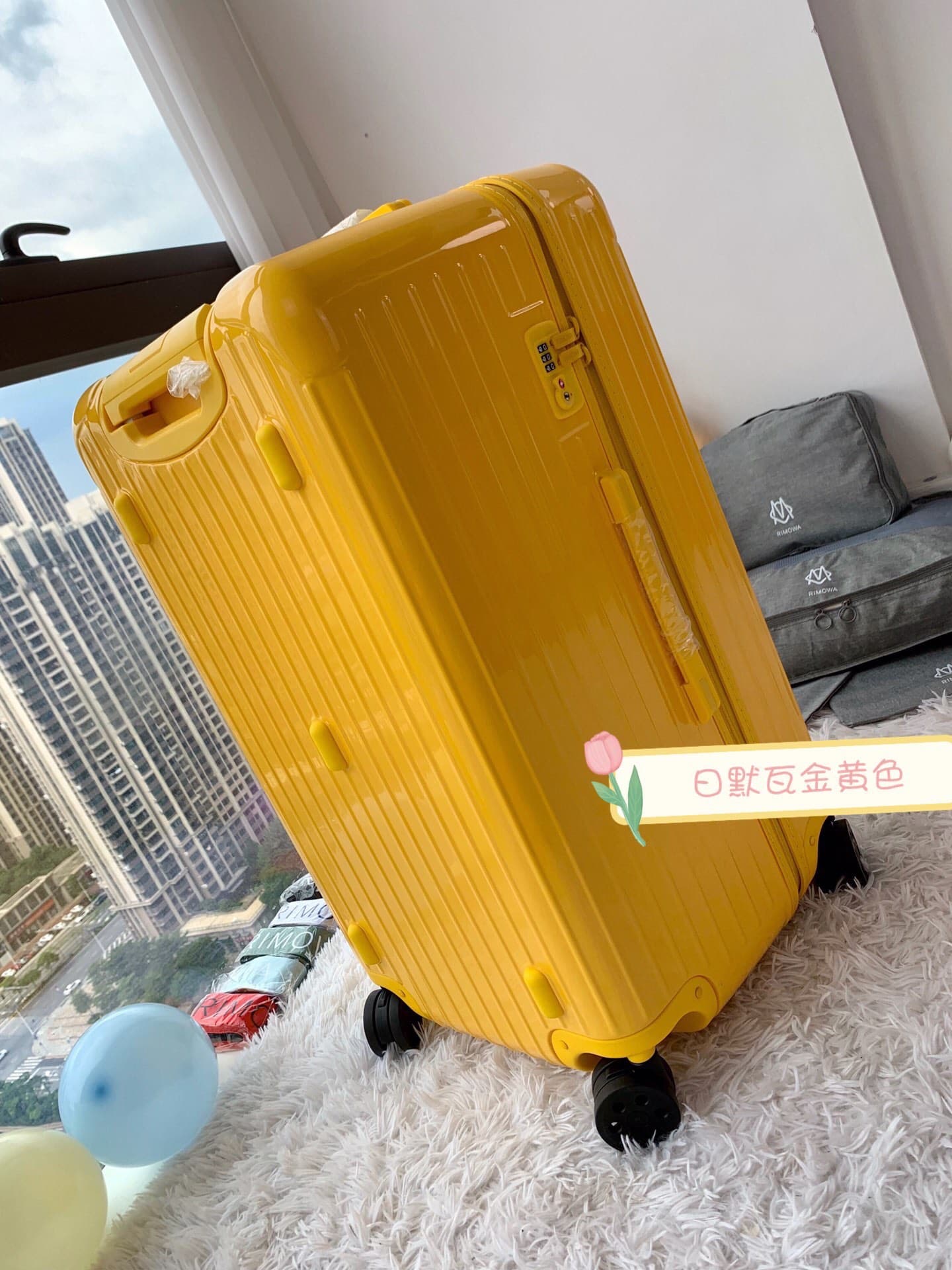Luggage 6