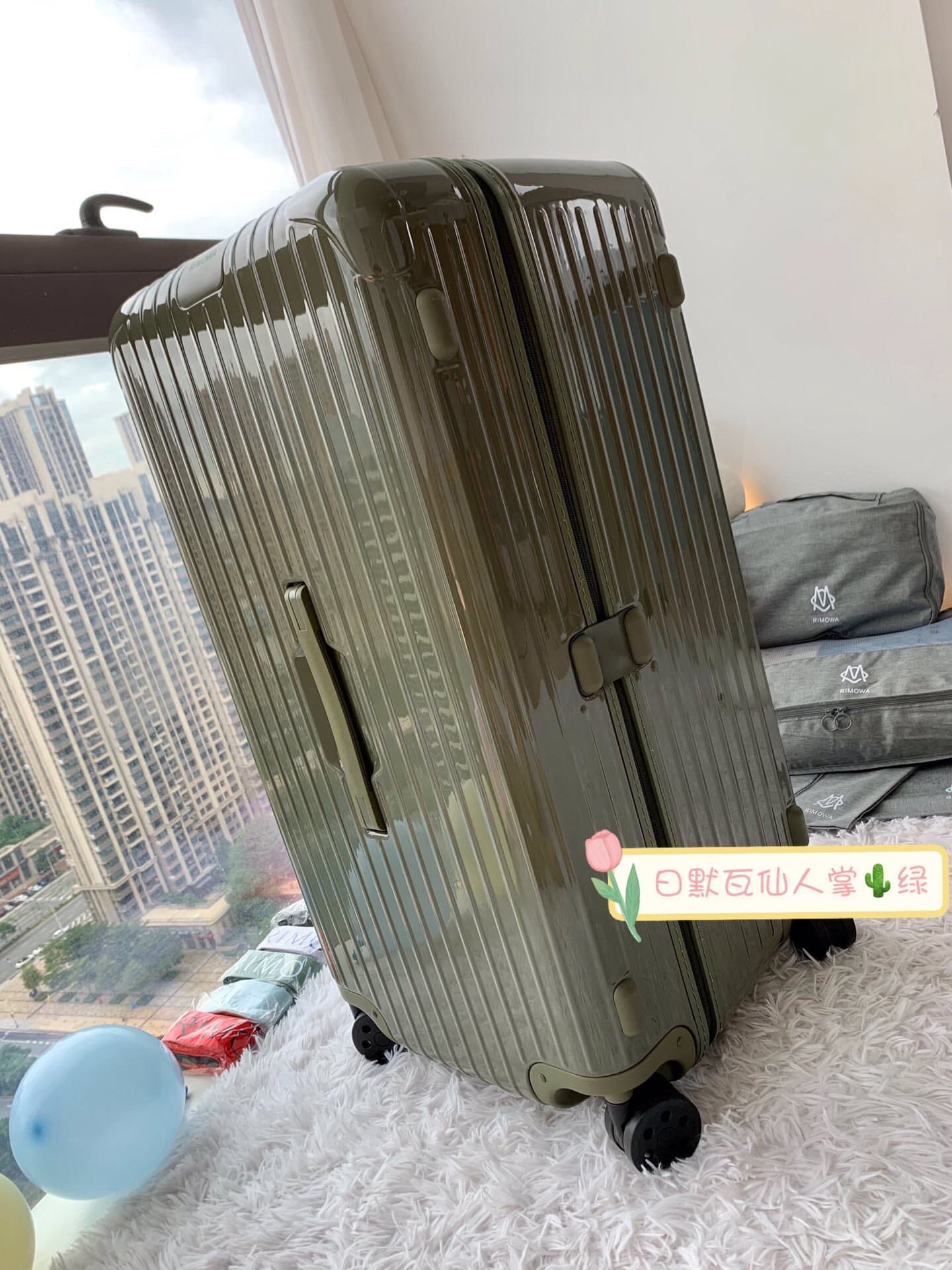 Luggage 6