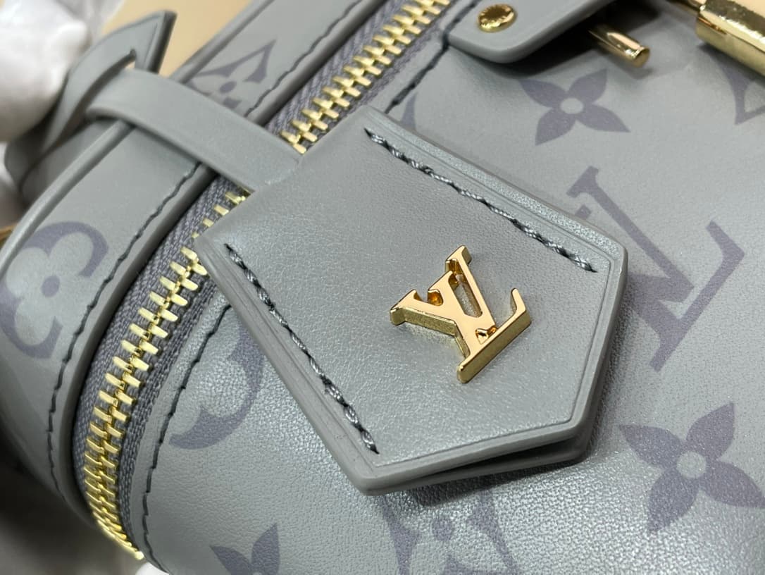 LV Bags 6