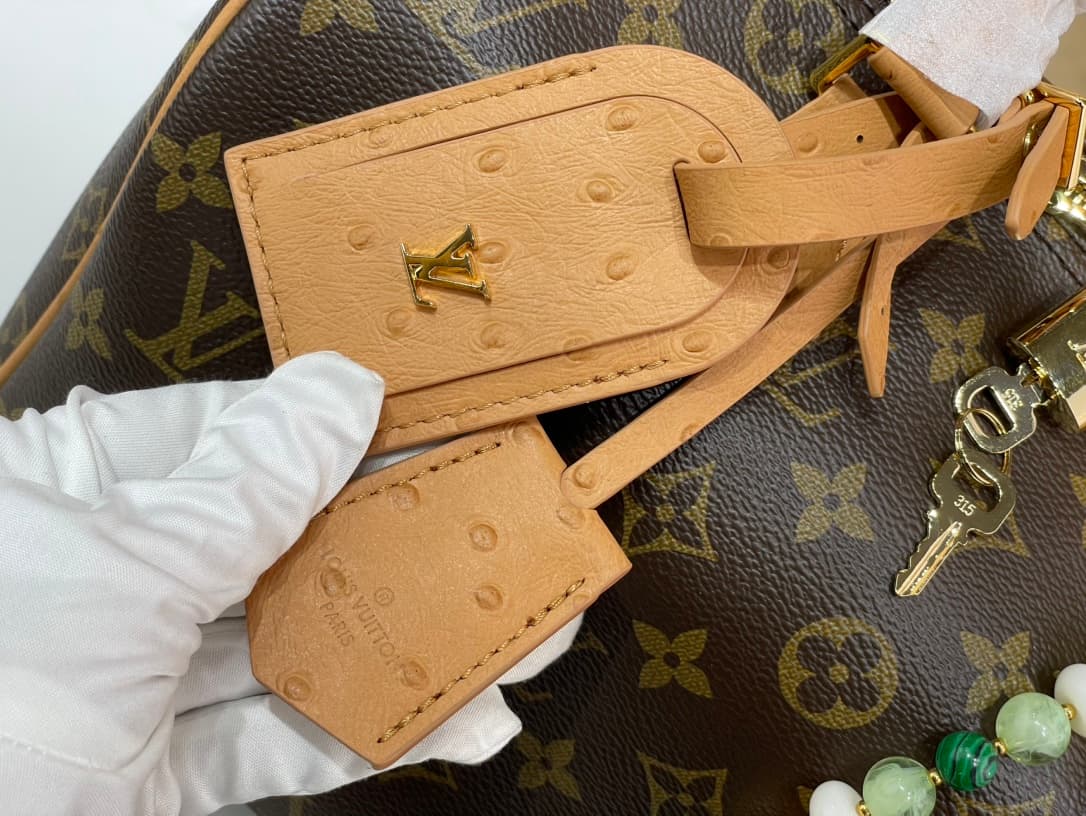 LV Bags 7