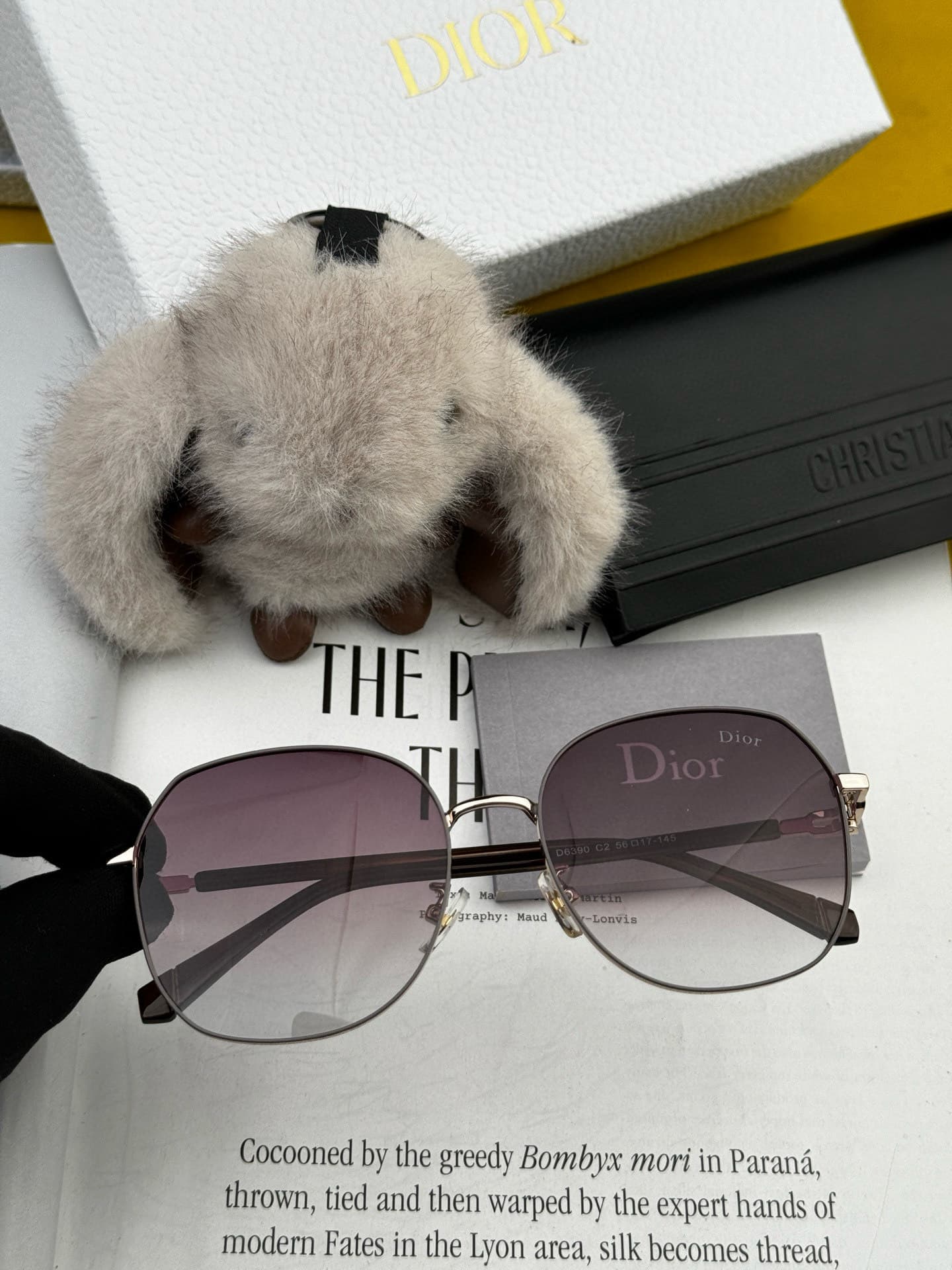 Dior Glasses 5