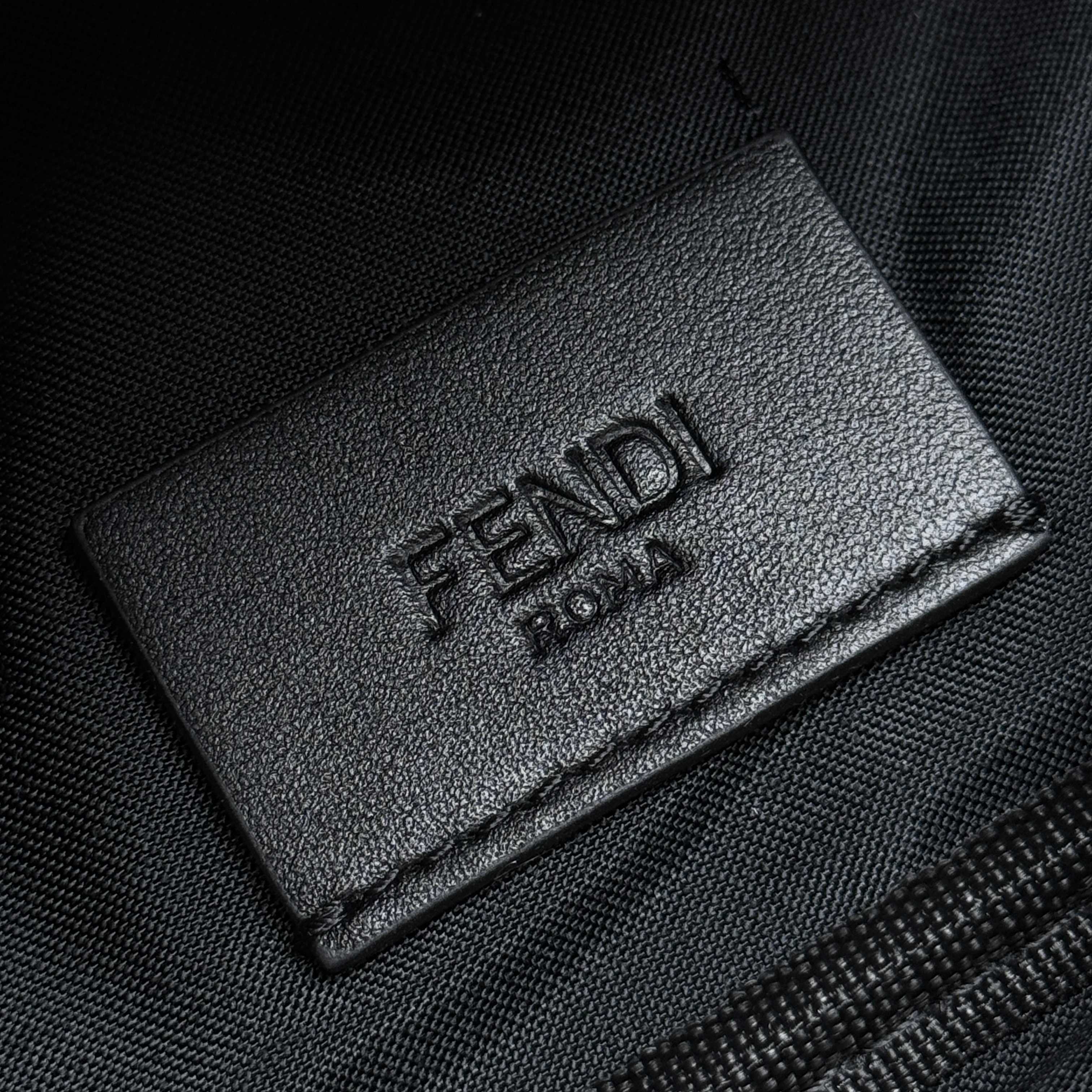 Fendi Bags 8