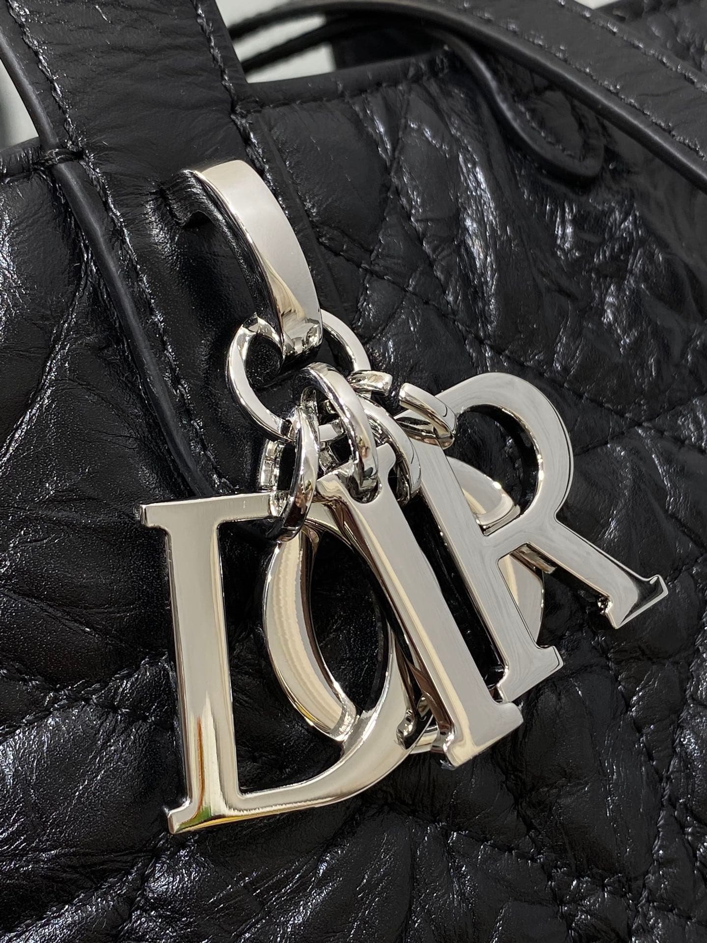 Dior Bags 3
