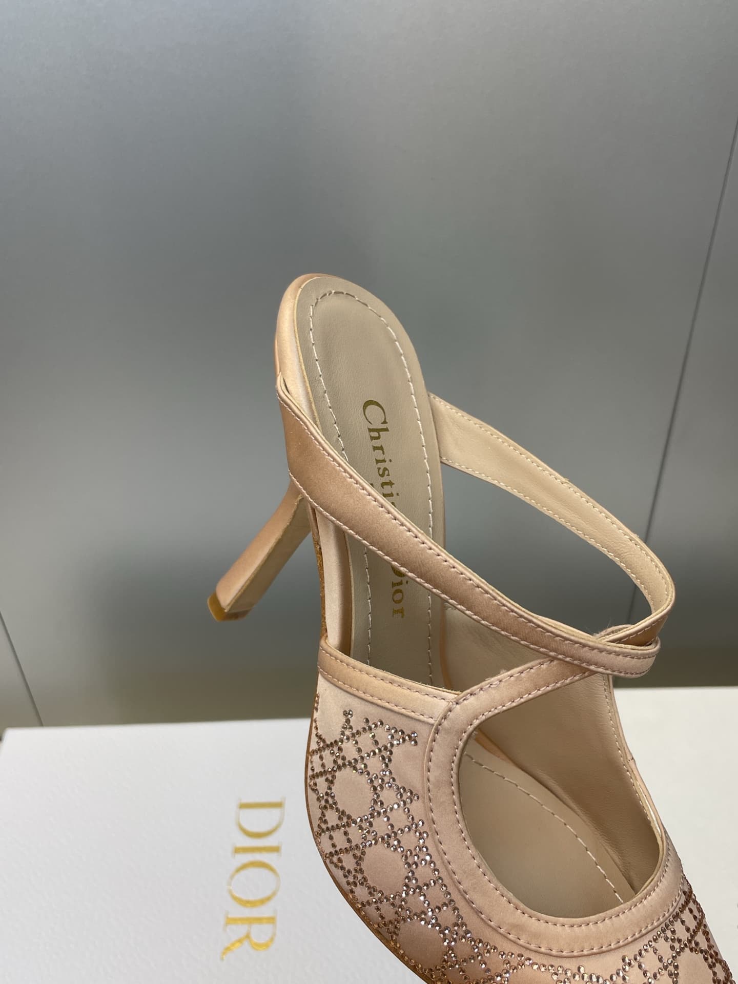 Dior Shoes (New) 6